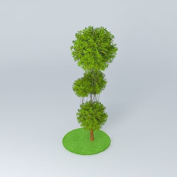 plant three trees Free 3D model_2