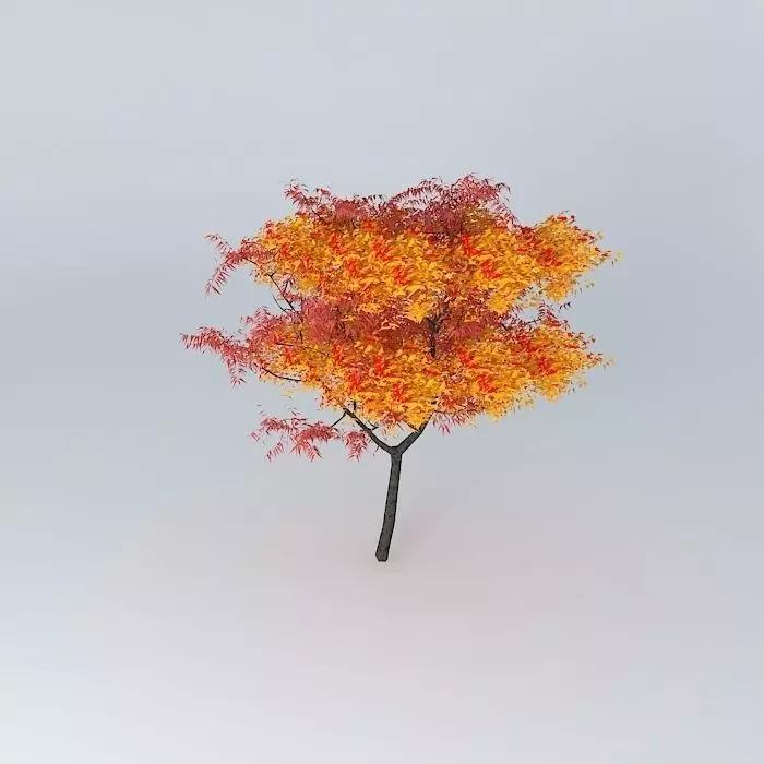 autumn tree Free 3D model_0