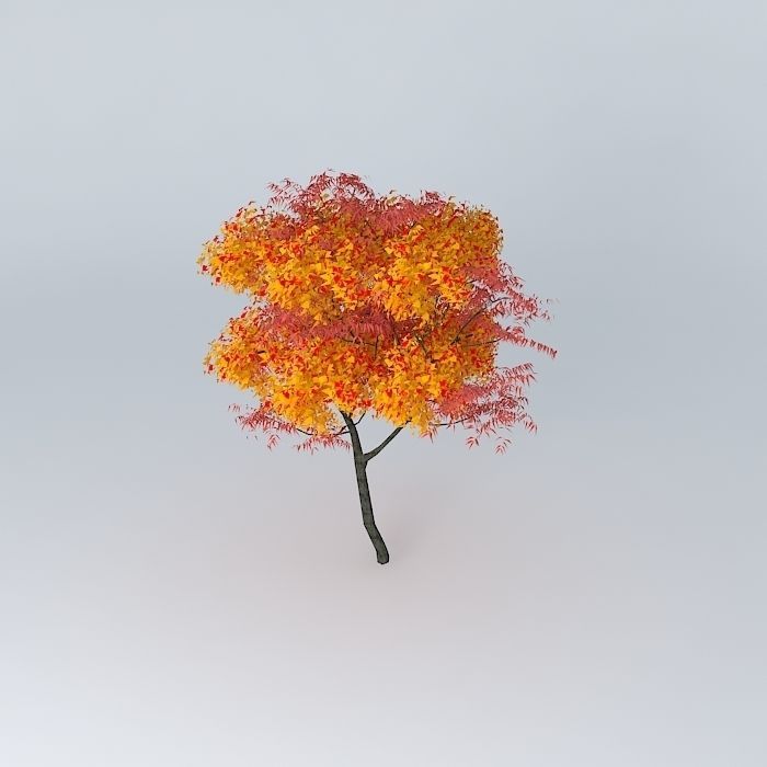 autumn tree Free 3D model_1