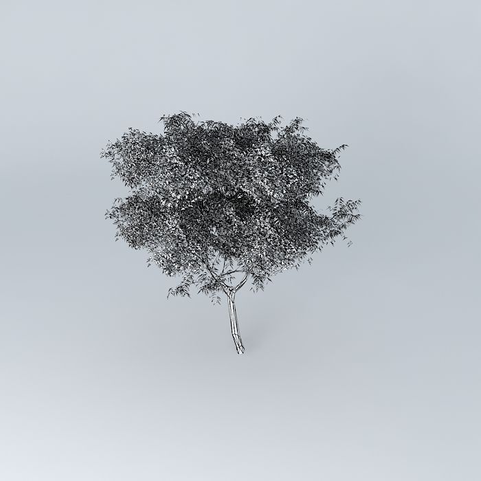 autumn tree Free 3D model_4