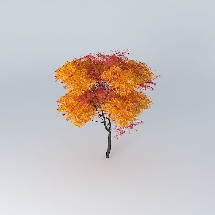 autumn tree Free 3D model_2