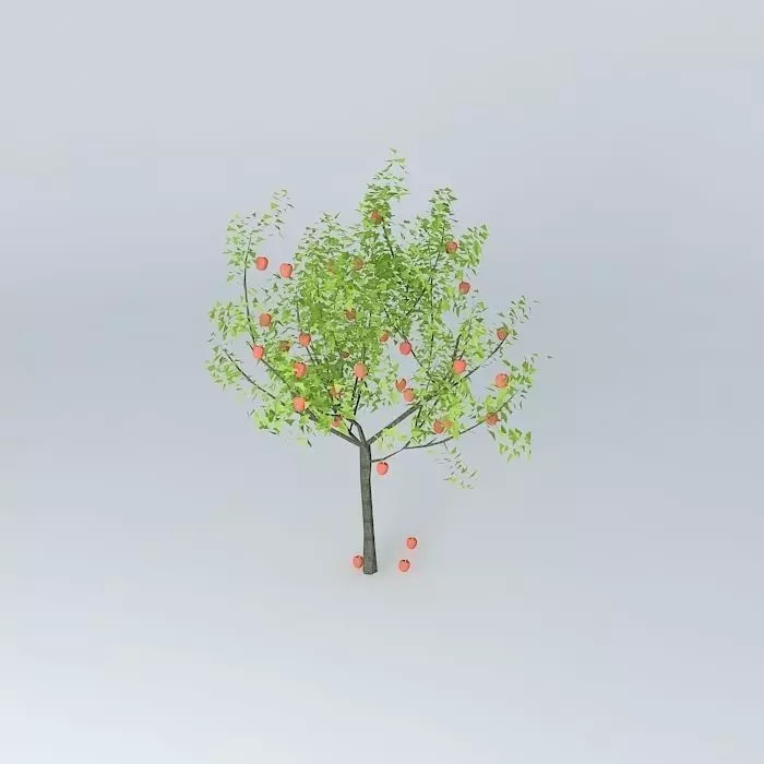 Apple tree Free 3D model_0