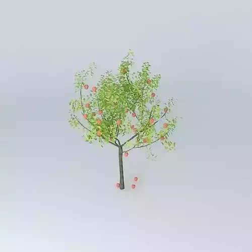 Apple tree Free 3D model