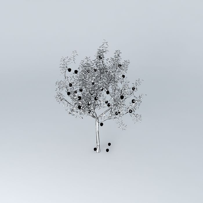 Apple tree Free 3D model_3