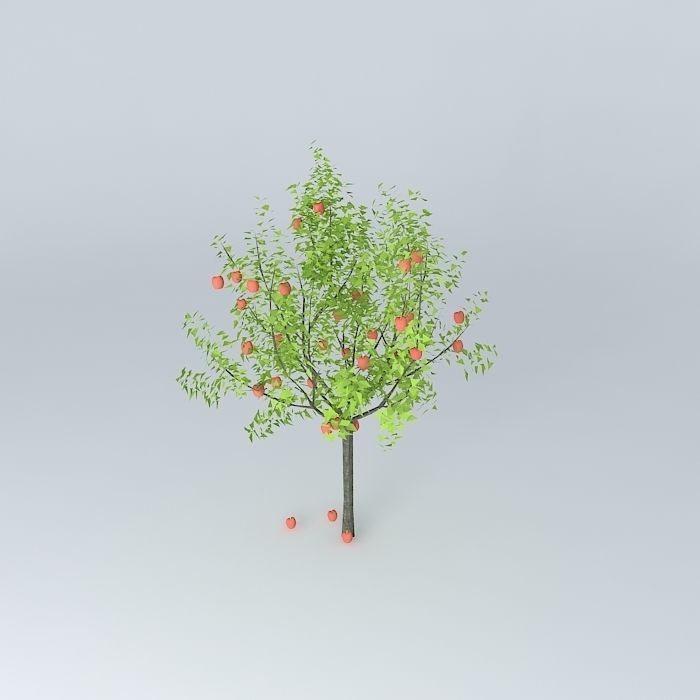 Apple tree Free 3D model_1