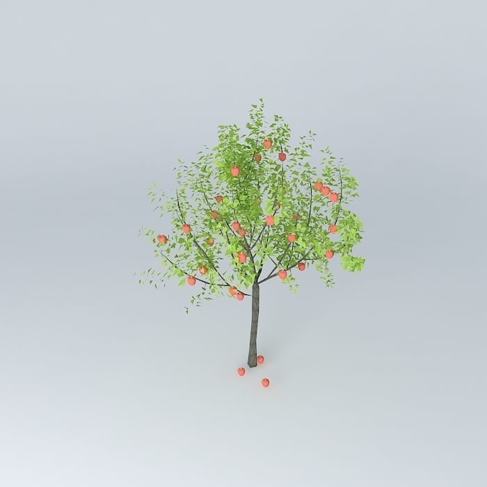 Apple tree Free 3D model_2