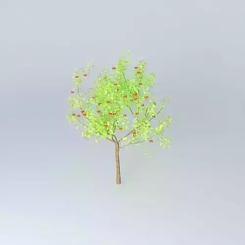 Aceroleira tree  Free 3D model