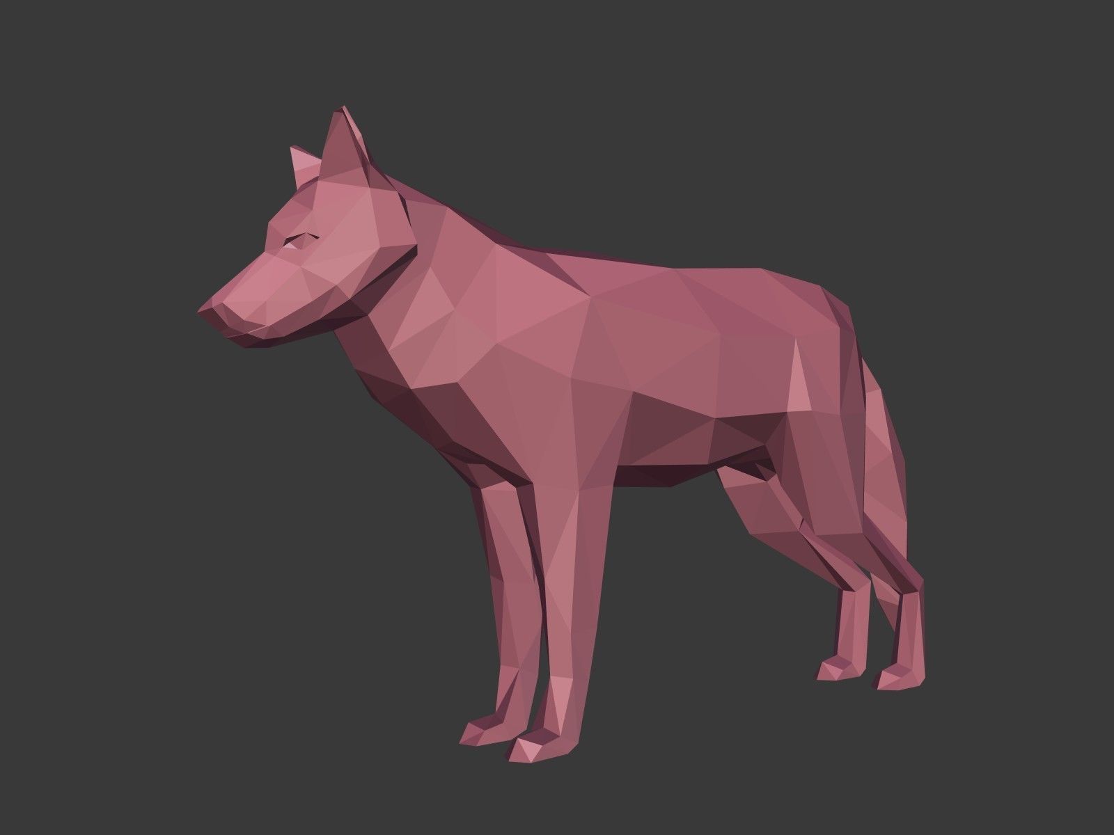 Cartoon Wolf - Dog - Low Poly Low-poly 3D model_1