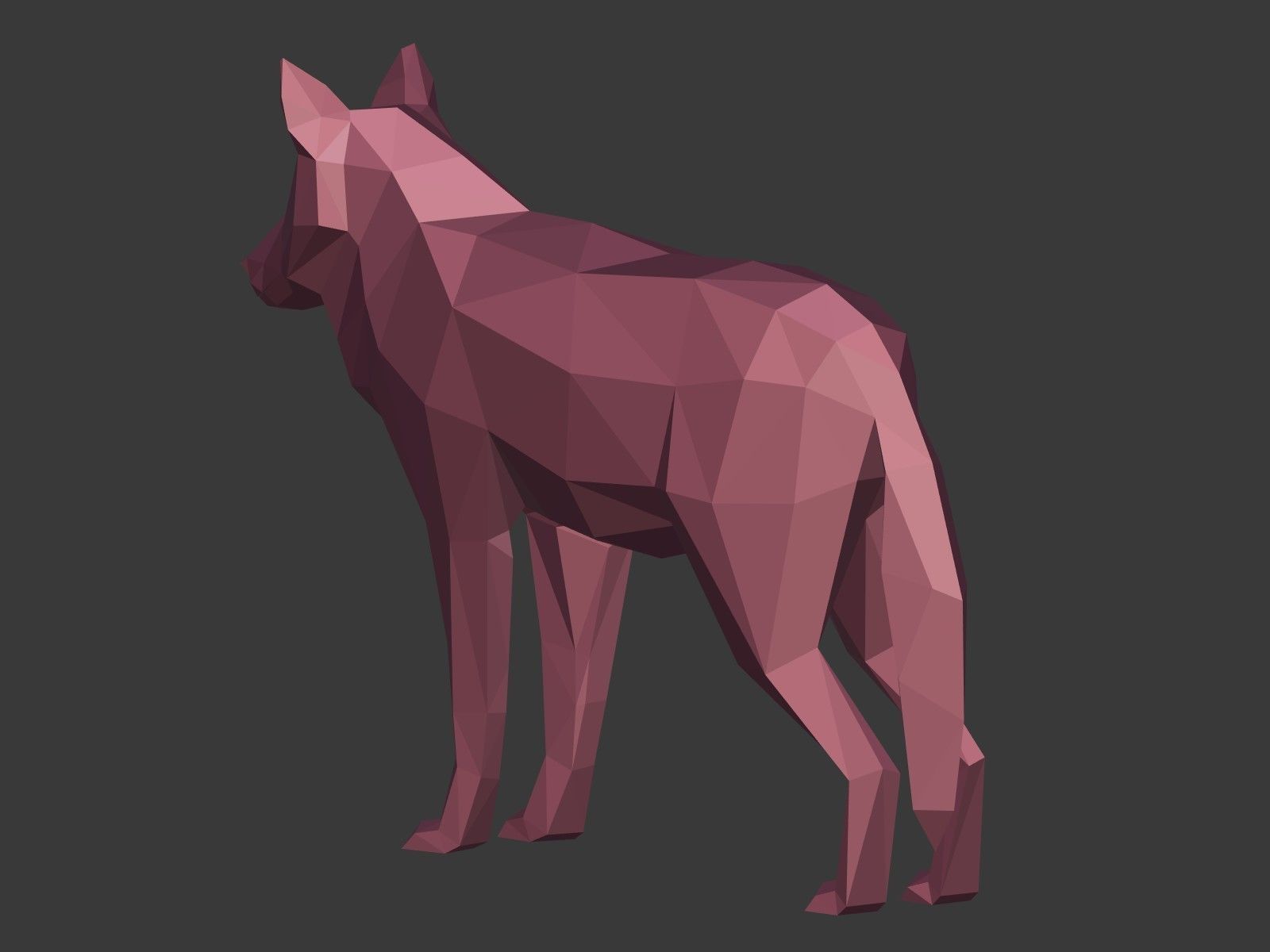 Cartoon Wolf - Dog - Low Poly Low-poly 3D model_9