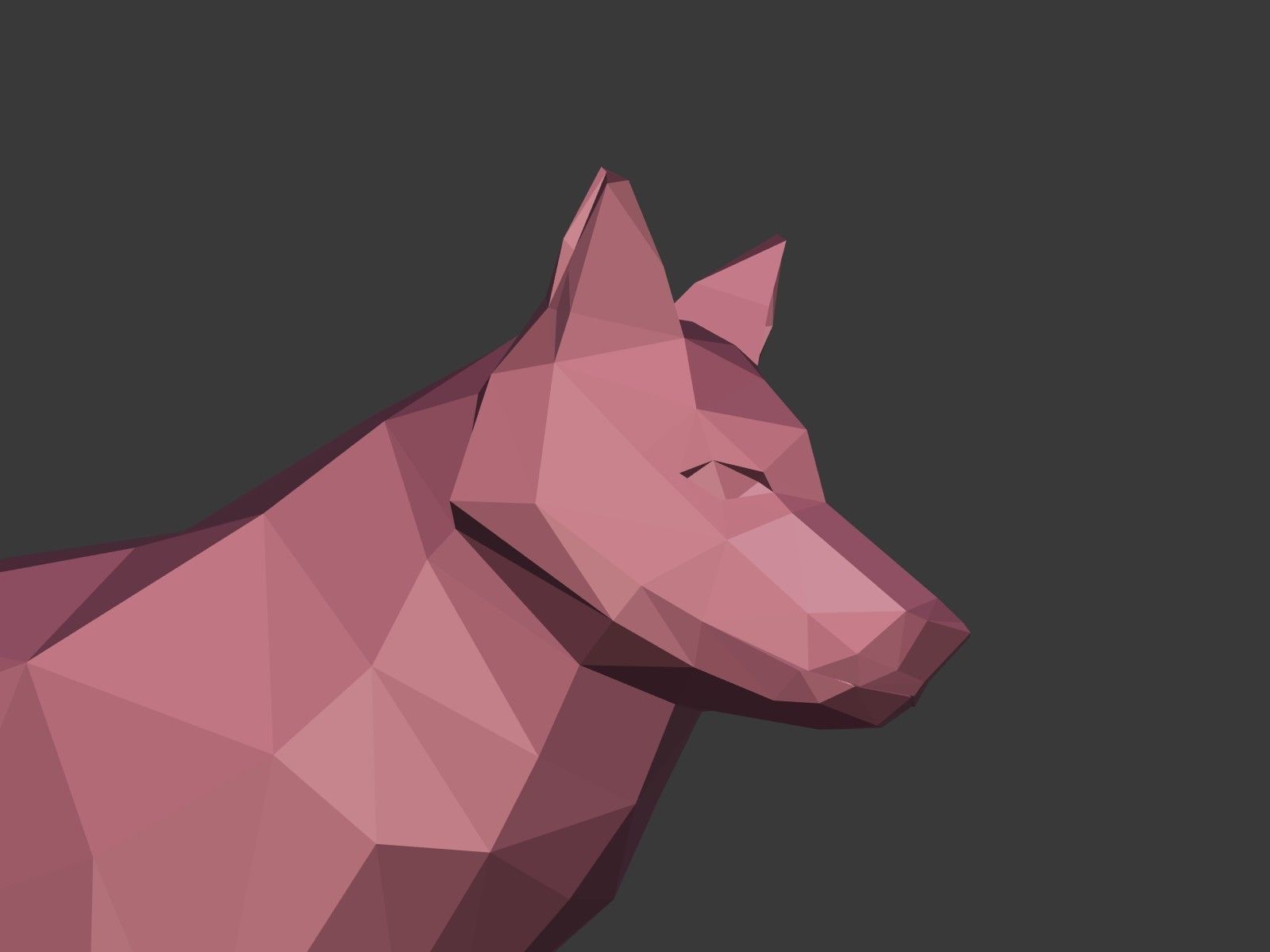 Cartoon Wolf - Dog - Low Poly Low-poly 3D model_15