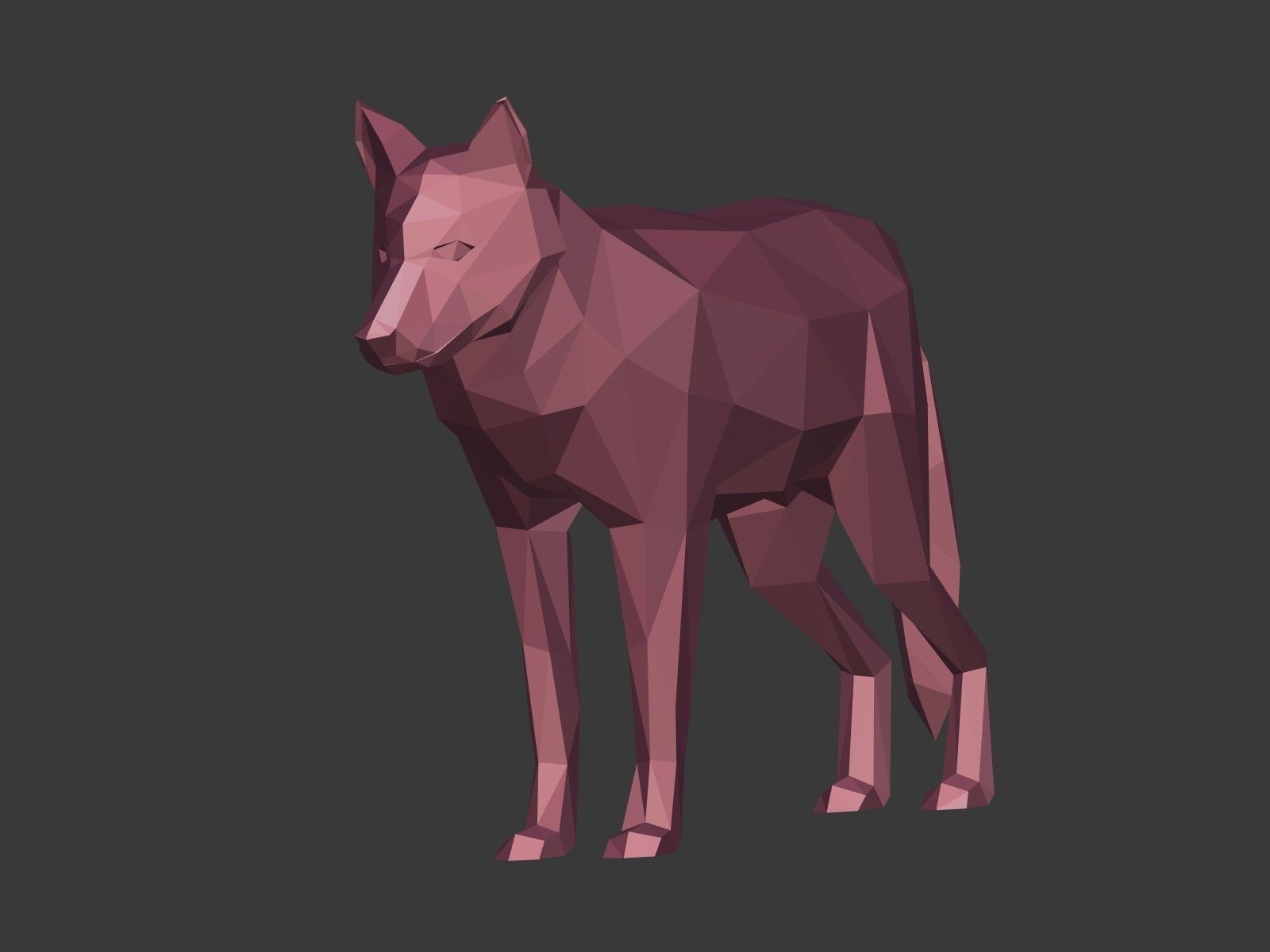 Cartoon Wolf - Dog - Low Poly Low-poly 3D model_3
