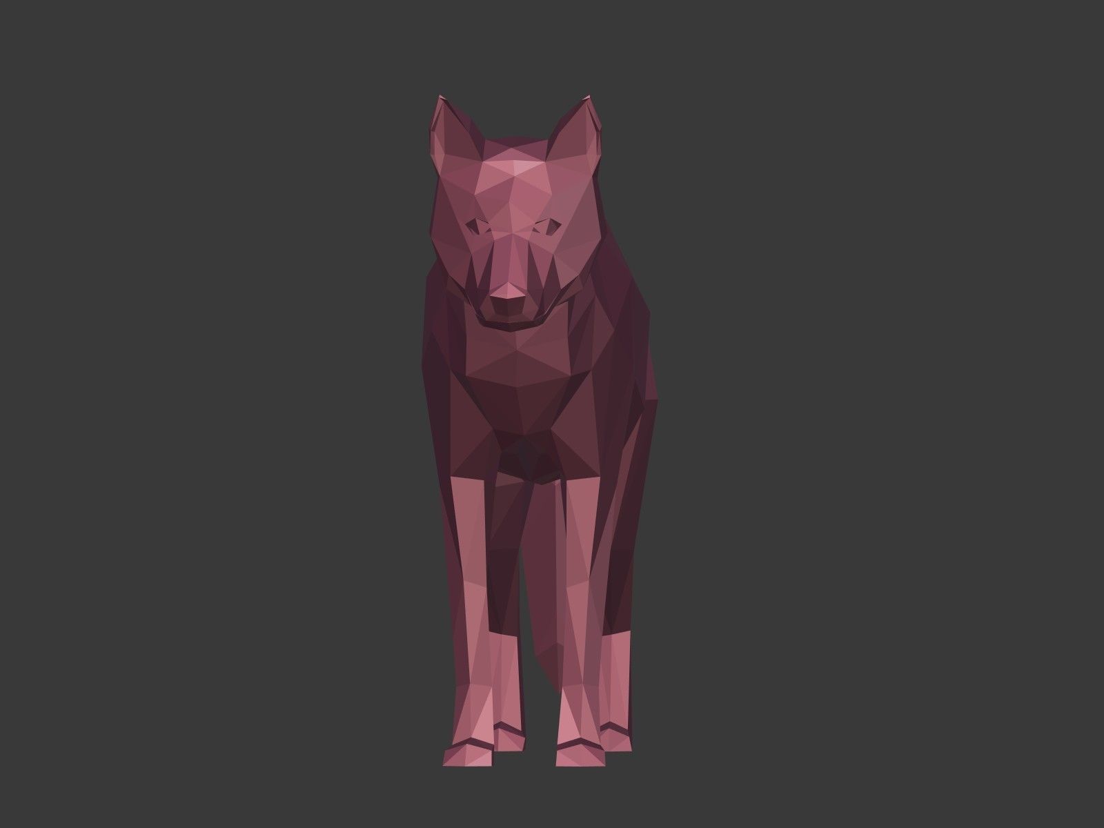 Cartoon Wolf - Dog - Low Poly Low-poly 3D model_5