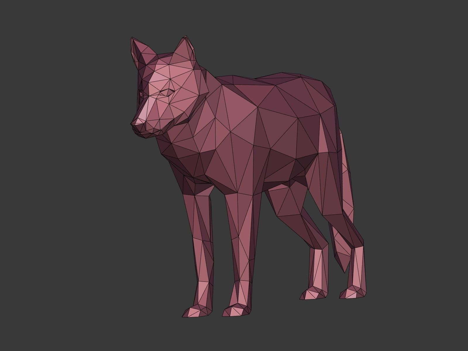 Cartoon Wolf - Dog - Low Poly Low-poly 3D model_4