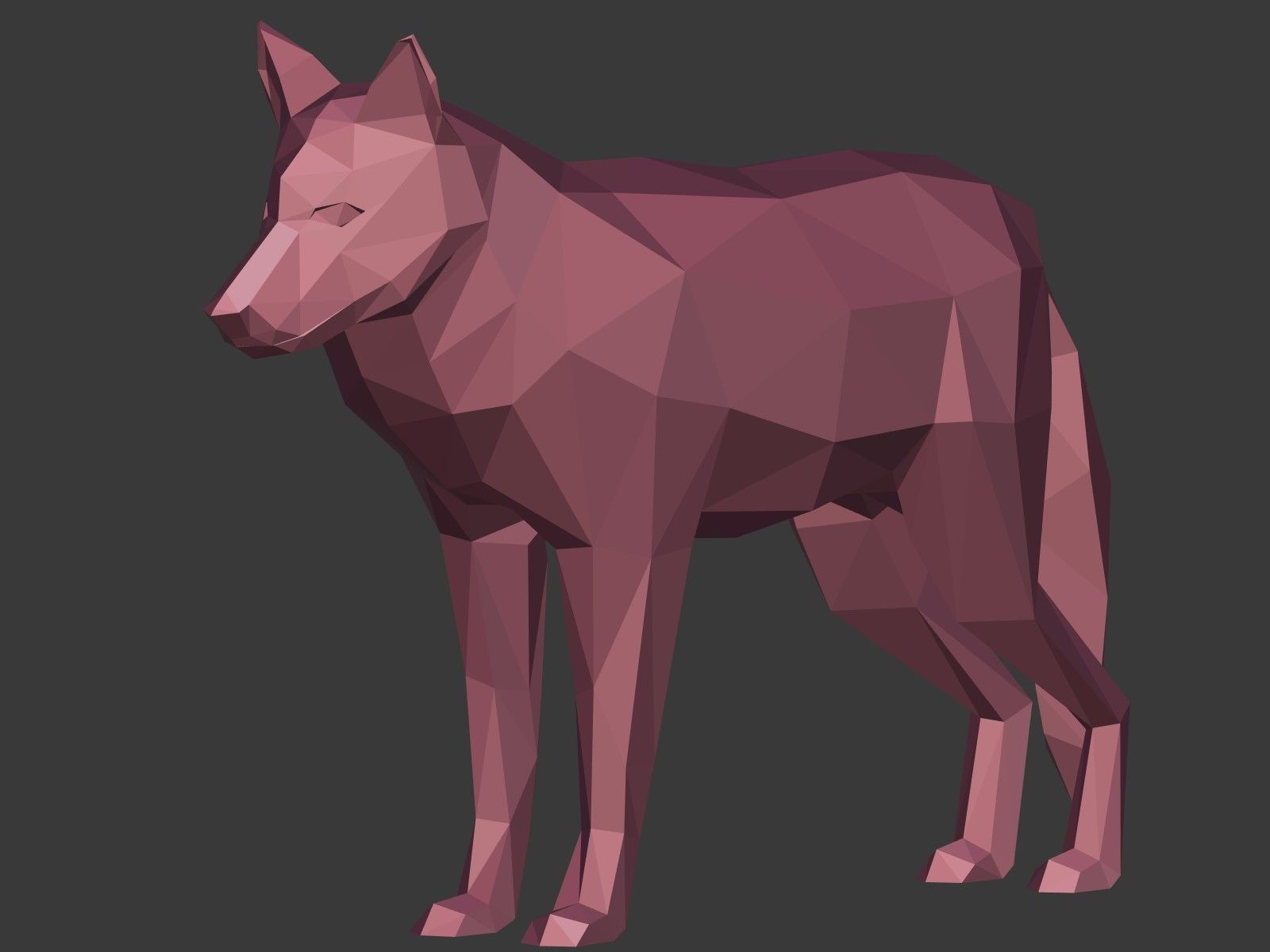 Cartoon Wolf - Dog - Low Poly Low-poly 3D model_13