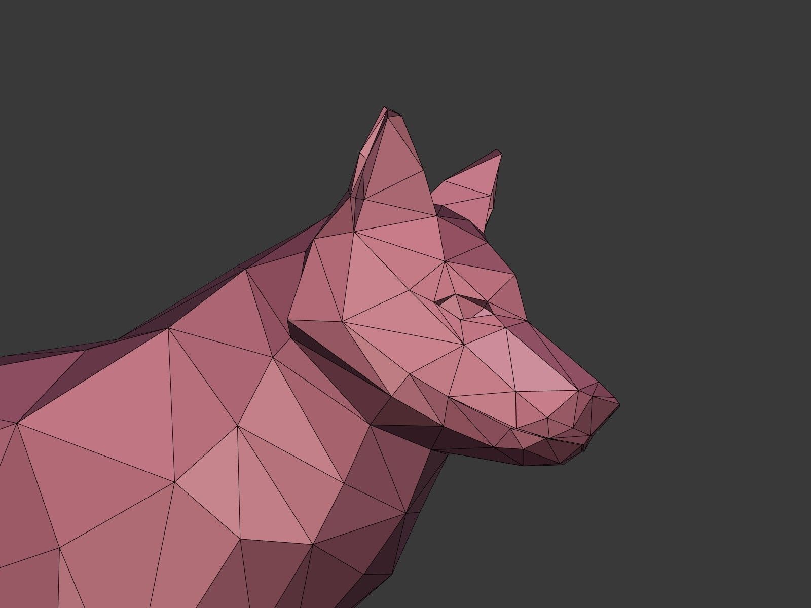Cartoon Wolf - Dog - Low Poly Low-poly 3D model_16