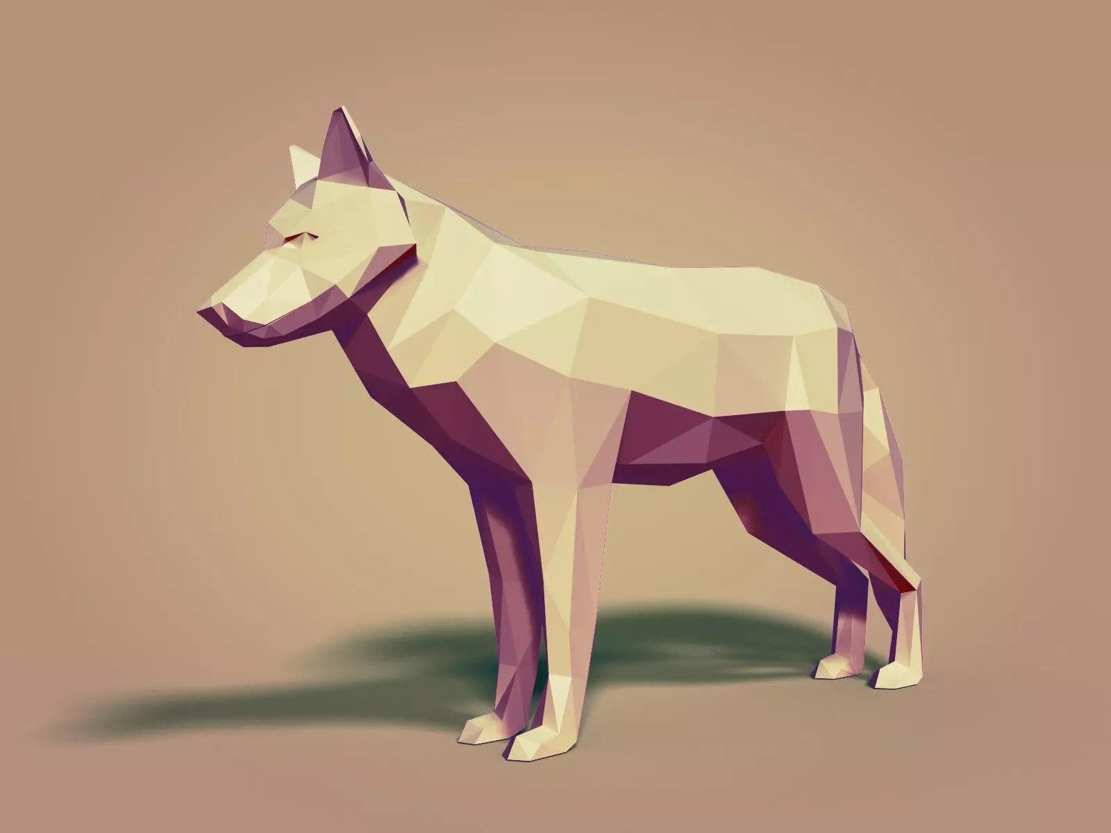 Cartoon Wolf - Dog - Low Poly Low-poly 3D model_0