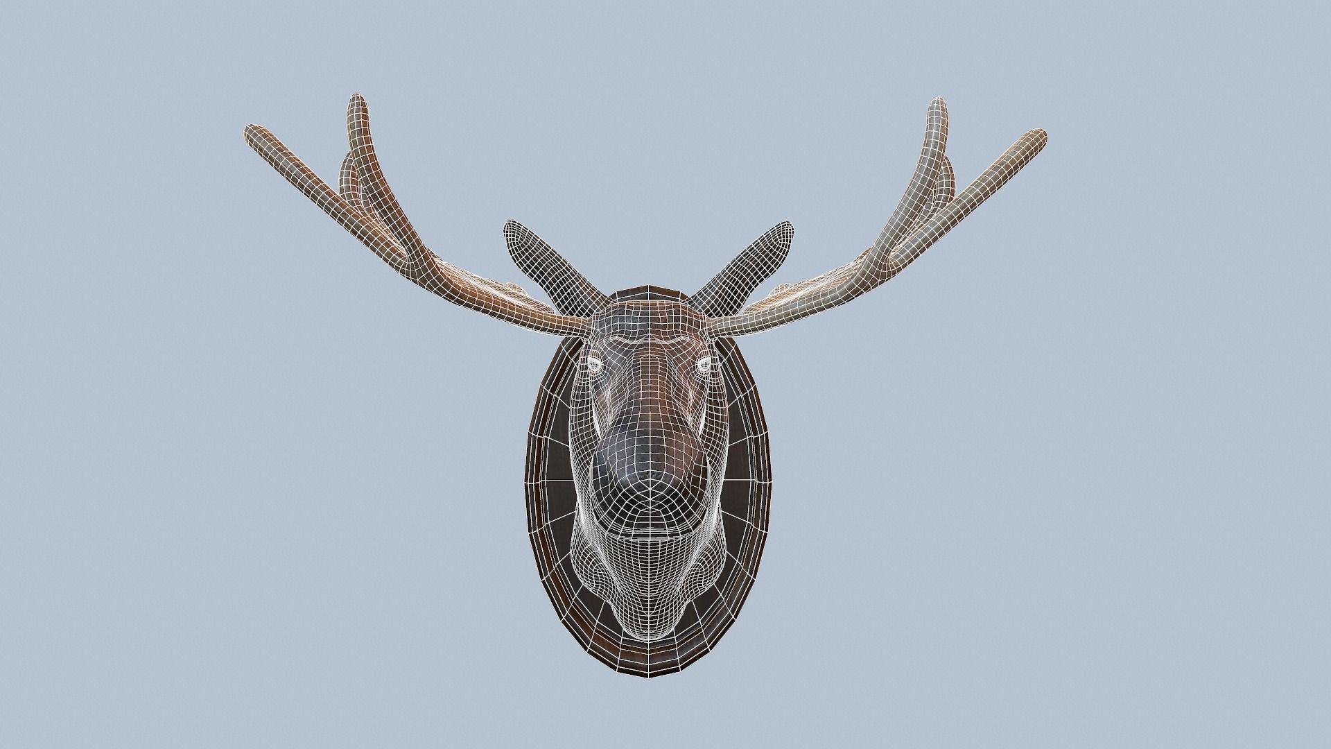 Moose Head Taxidermy Low-poly 3D model_3