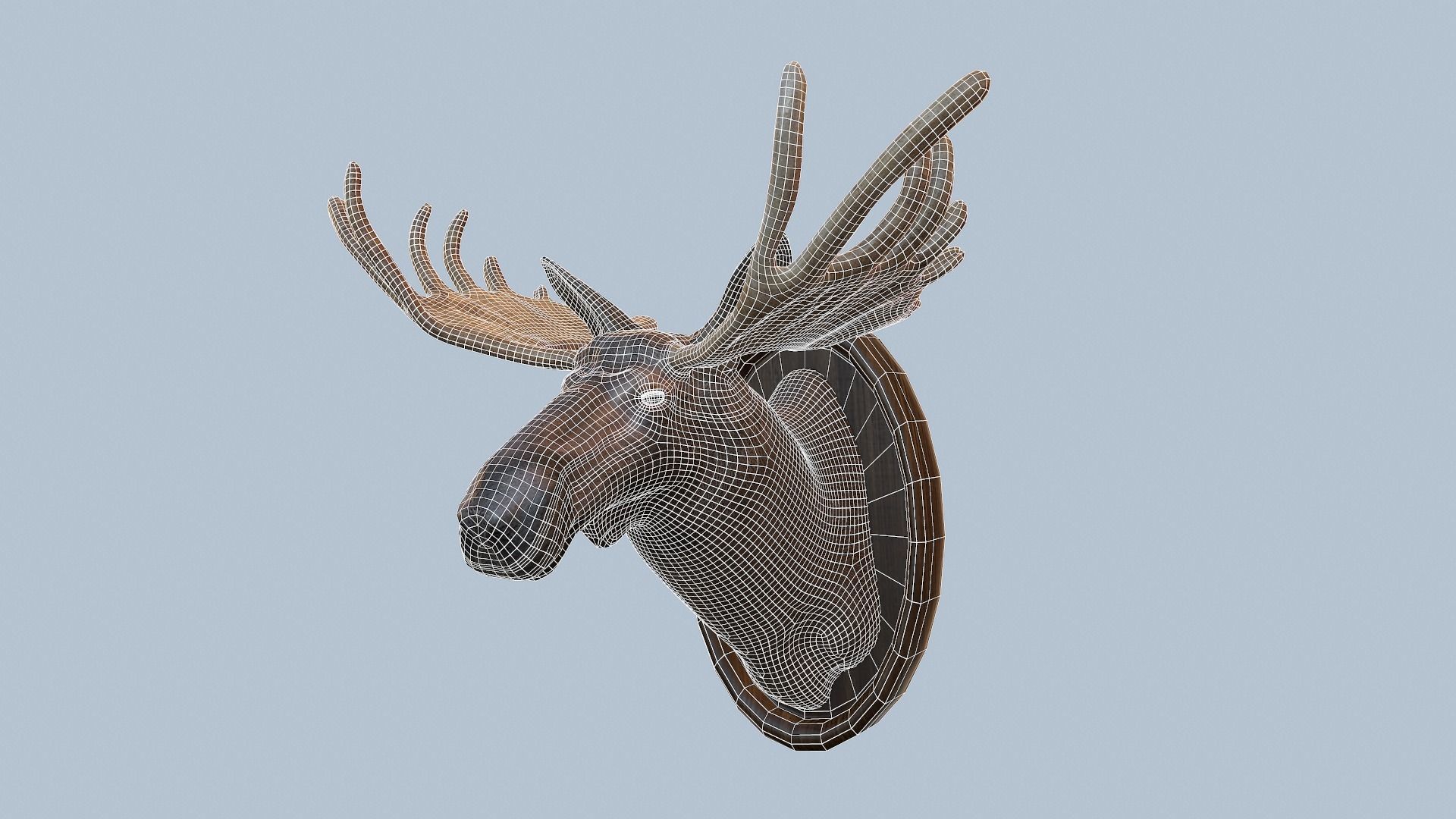 Moose Head Taxidermy Low-poly 3D model_9
