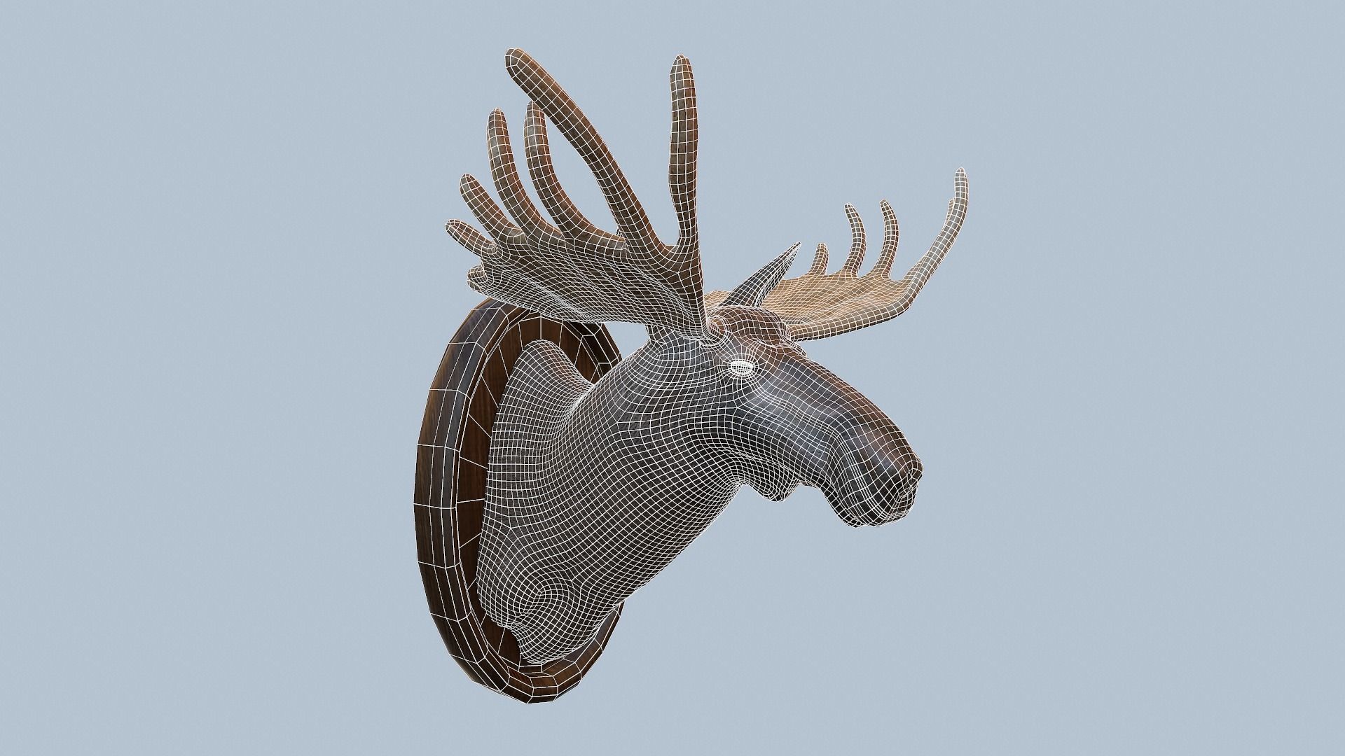 Moose Head Taxidermy Low-poly 3D model_55