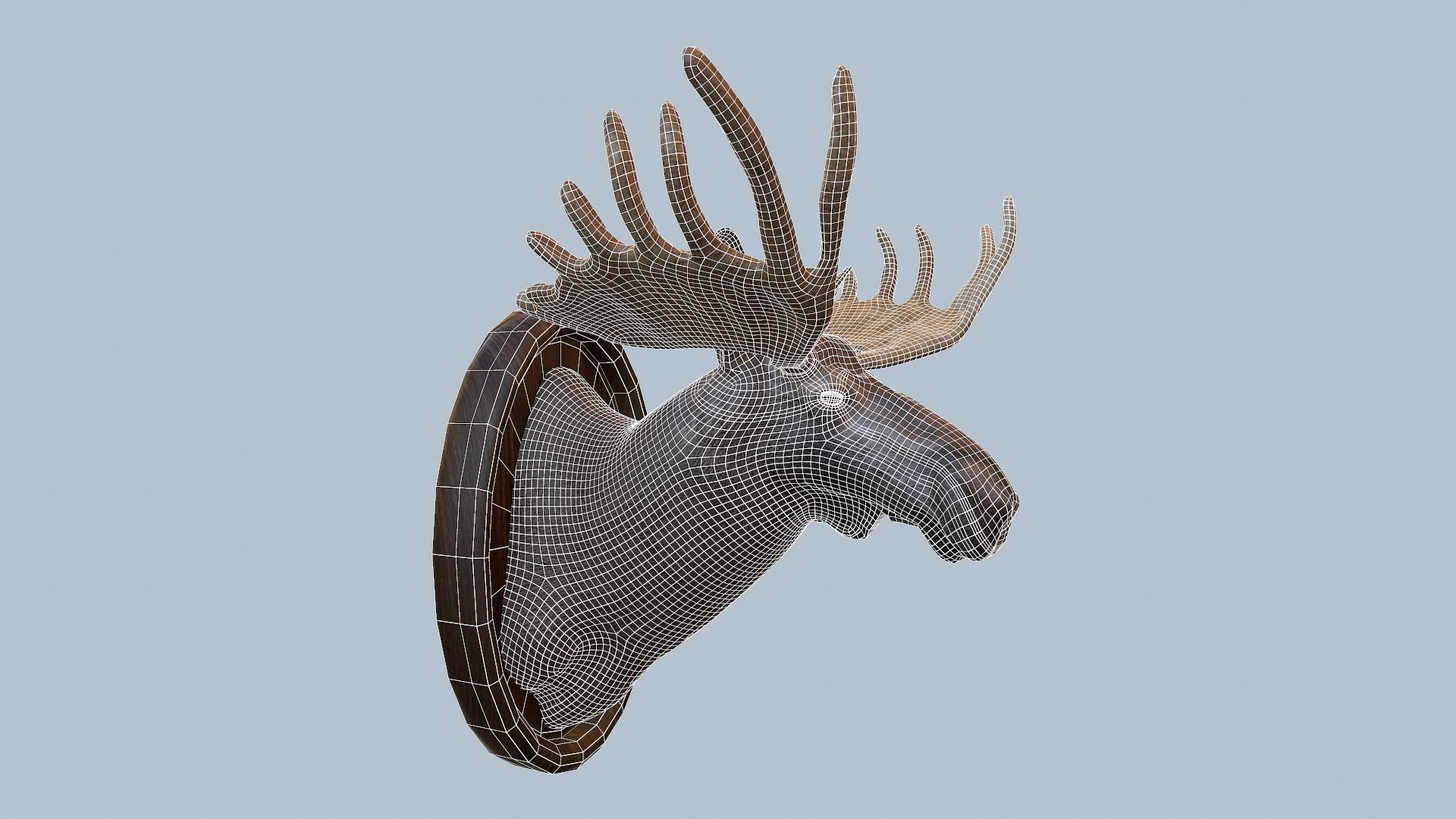 Moose Head Taxidermy Low-poly 3D model_53