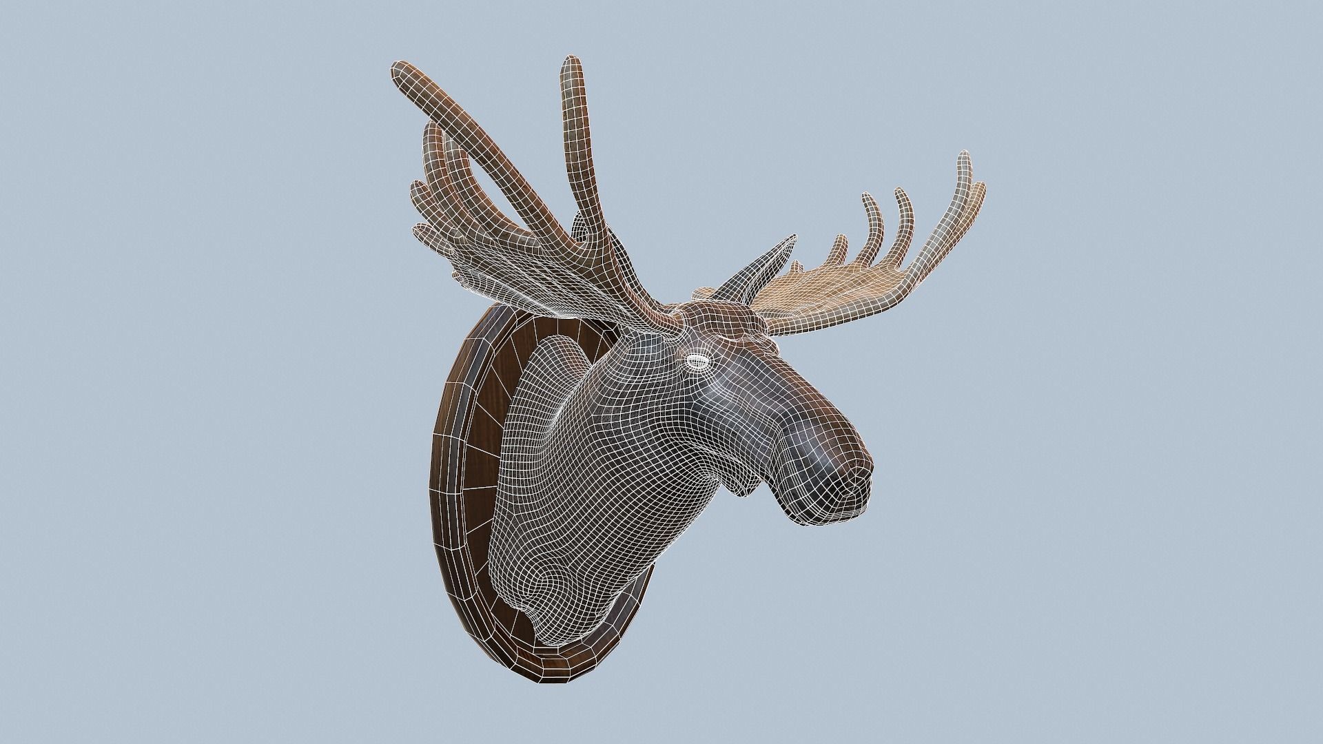 Moose Head Taxidermy Low-poly 3D model_57