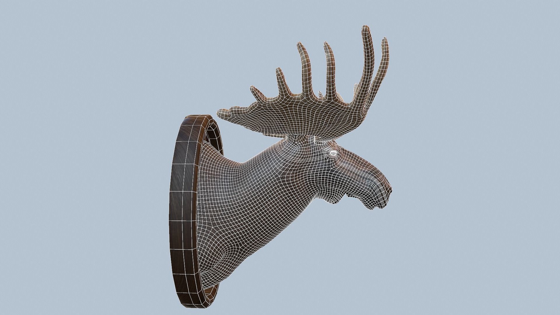 Moose Head Taxidermy Low-poly 3D model_49