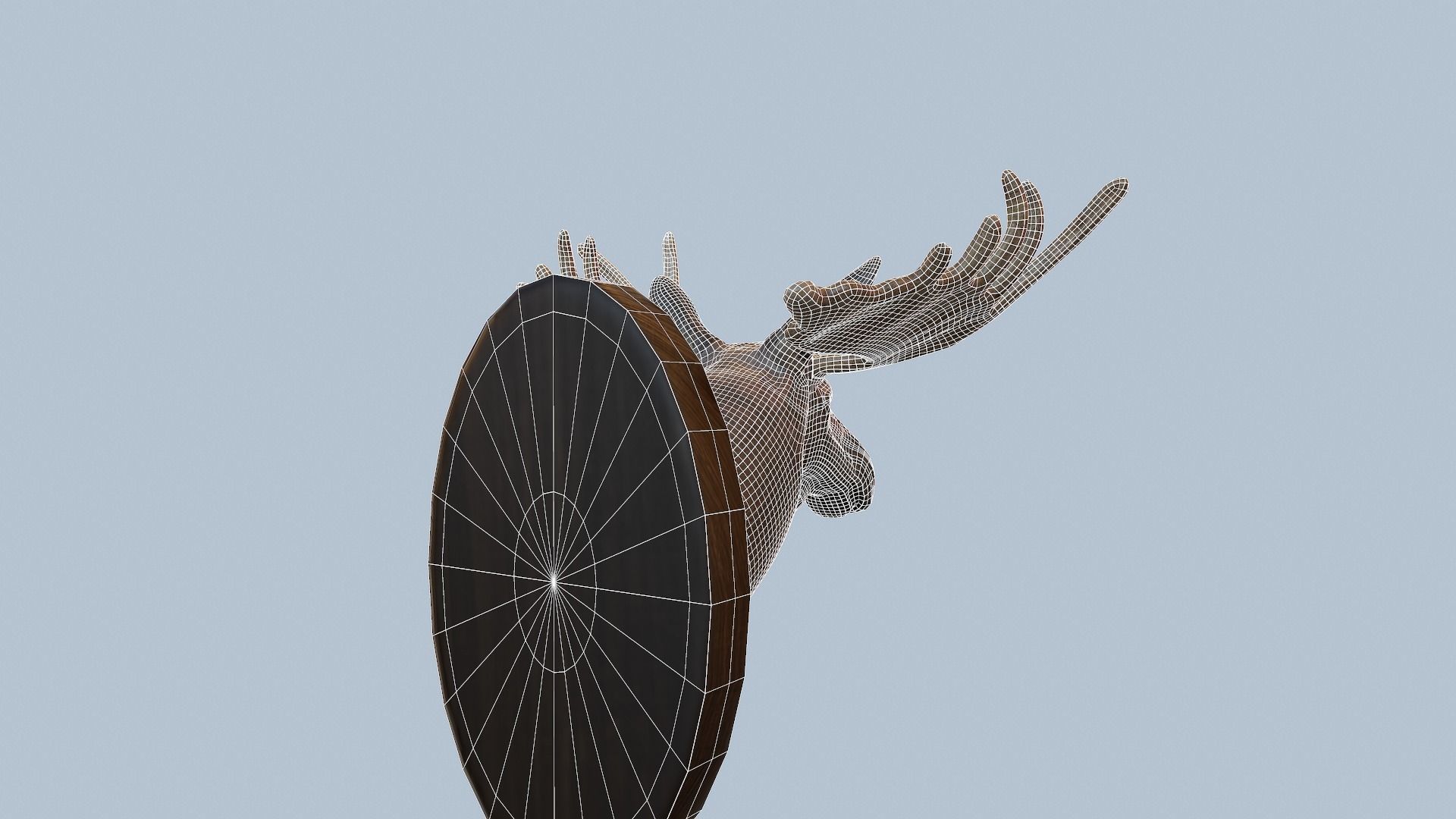Moose Head Taxidermy Low-poly 3D model_39