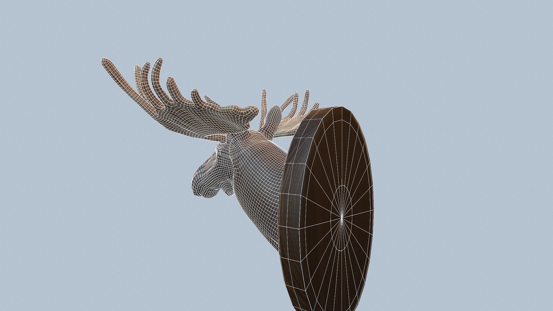 Moose Head Taxidermy Low-poly 3D model_25