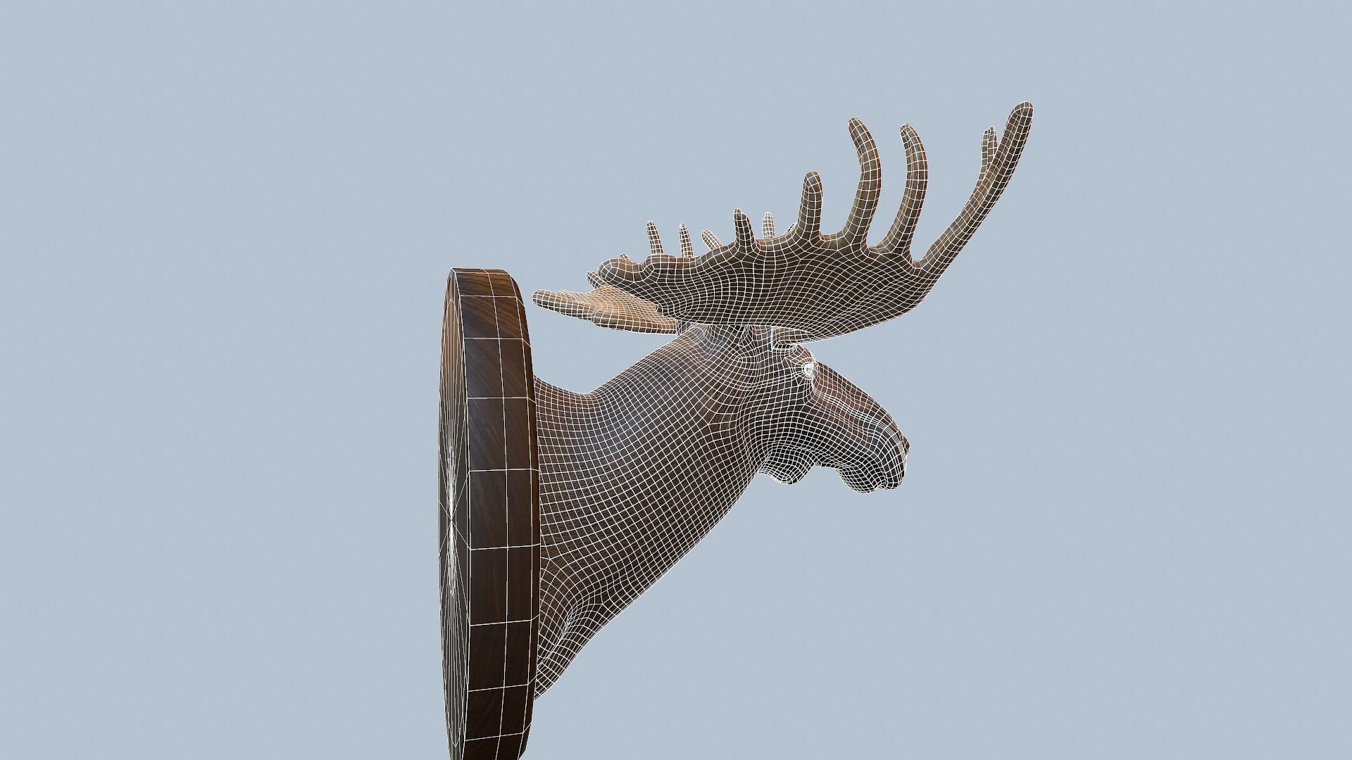 Moose Head Taxidermy Low-poly 3D model_45