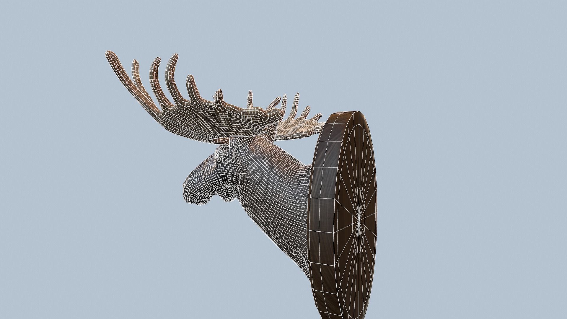 Moose Head Taxidermy Low-poly 3D model_23