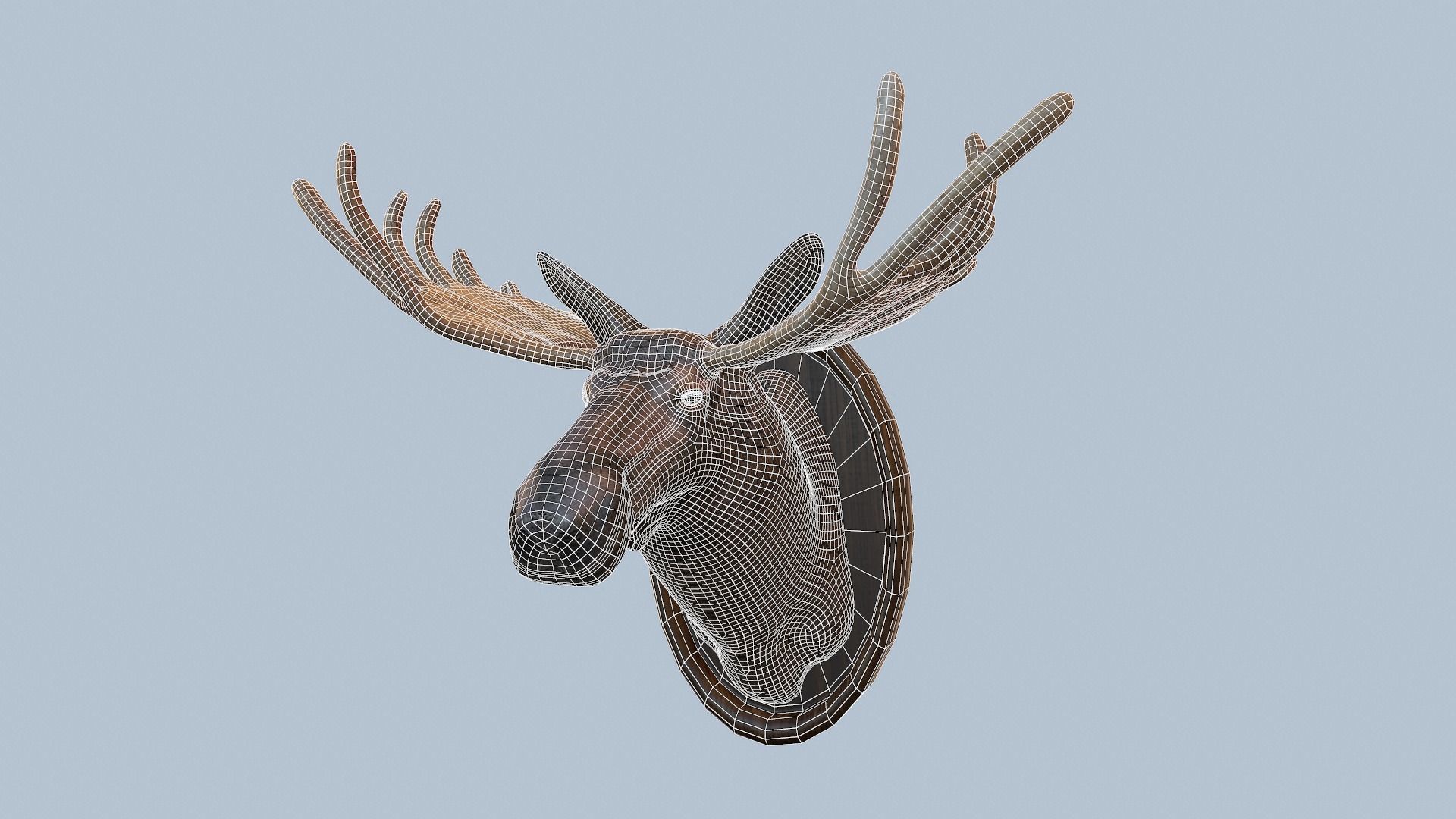 Moose Head Taxidermy Low-poly 3D model_7