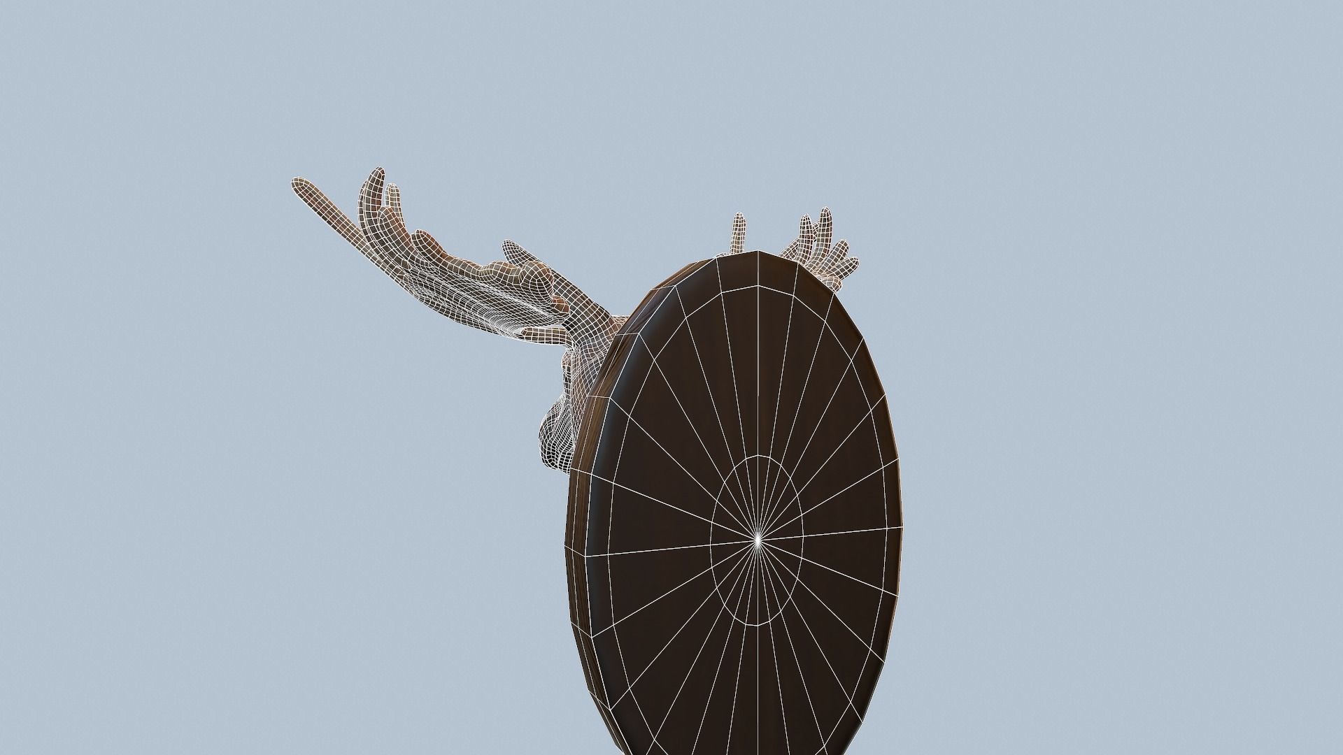 Moose Head Taxidermy Low-poly 3D model_29