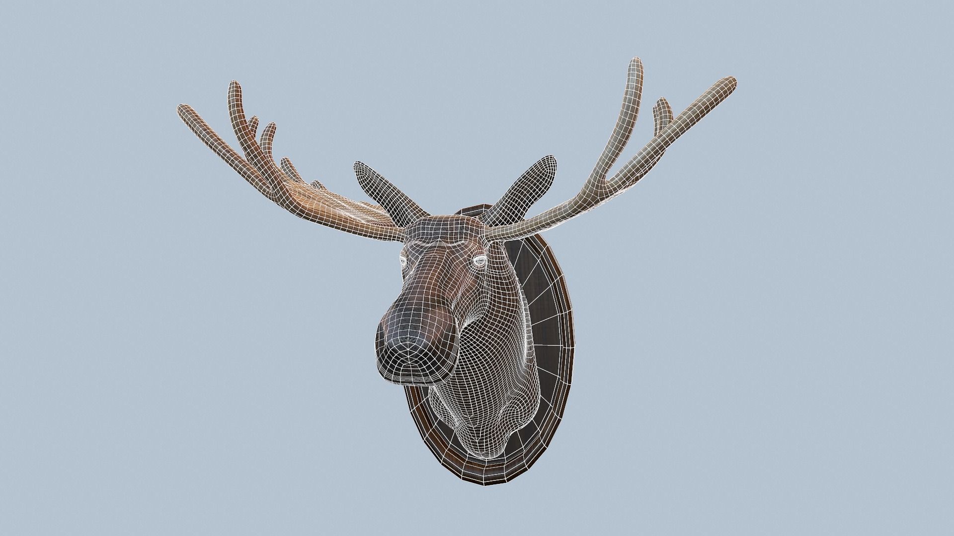 Moose Head Taxidermy Low-poly 3D model_5