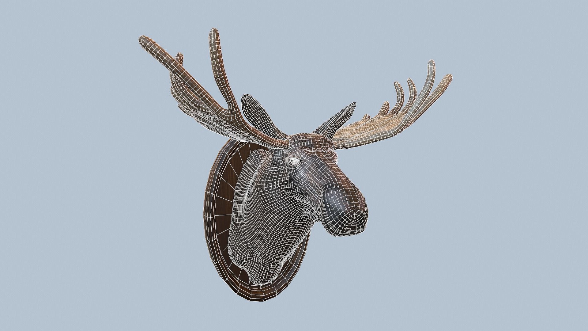 Moose Head Taxidermy Low-poly 3D model_59