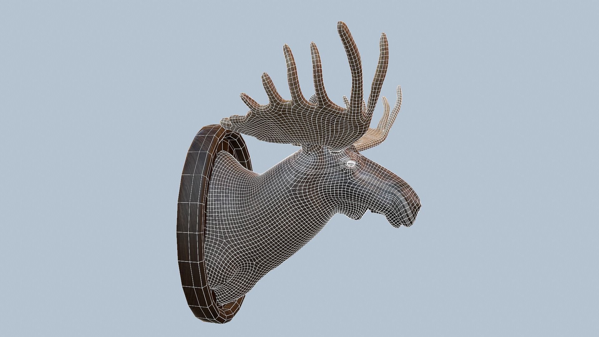 Moose Head Taxidermy Low-poly 3D model_51