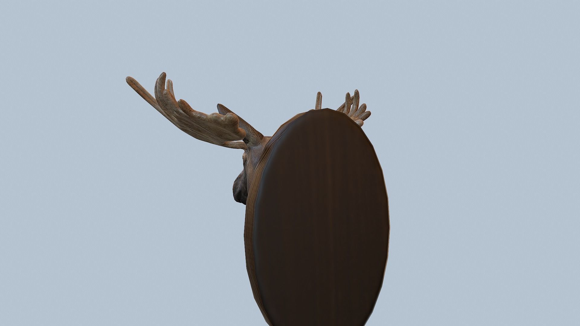 Moose Head Taxidermy Low-poly 3D model_28