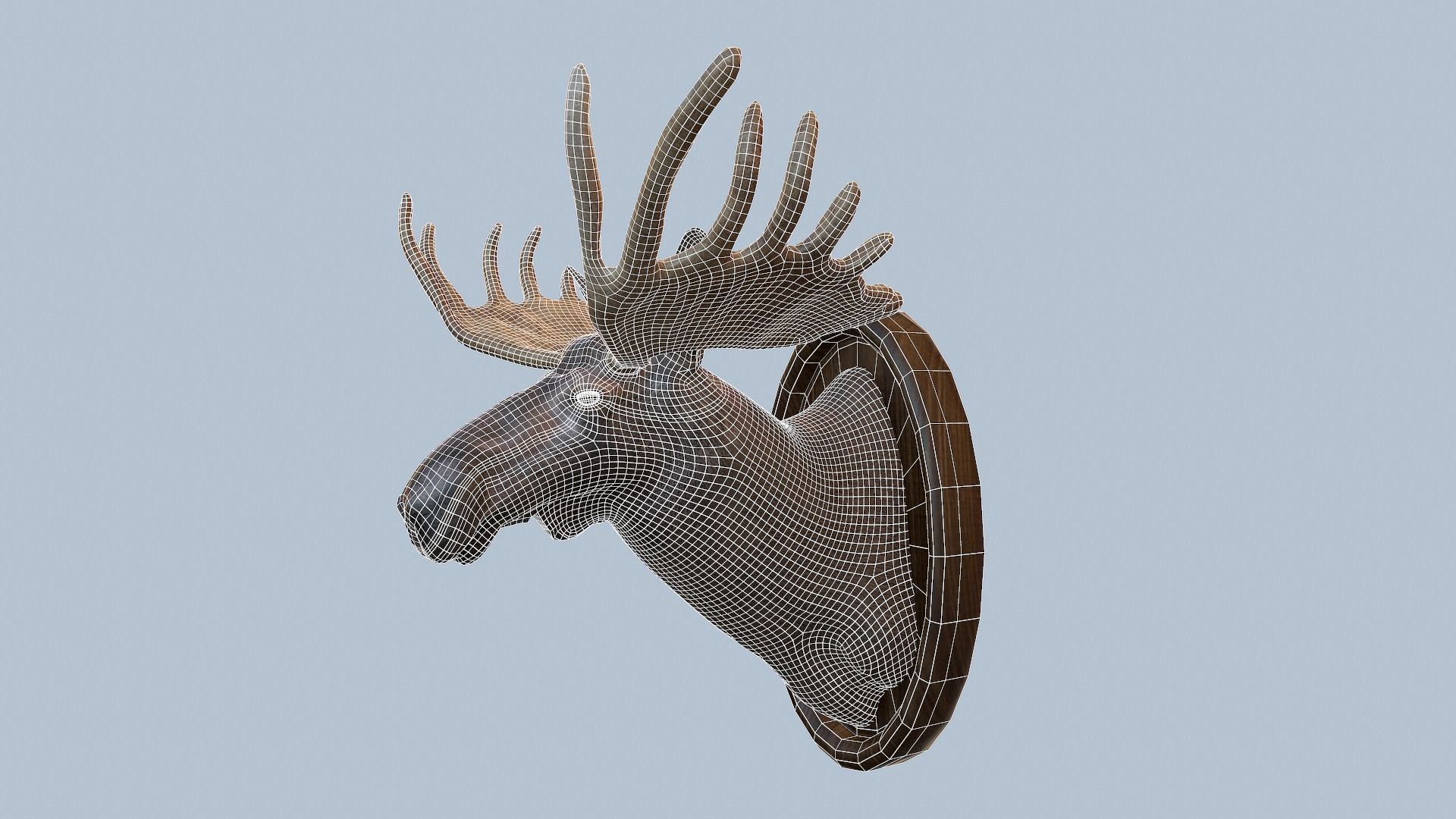 Moose Head Taxidermy Low-poly 3D model_13
