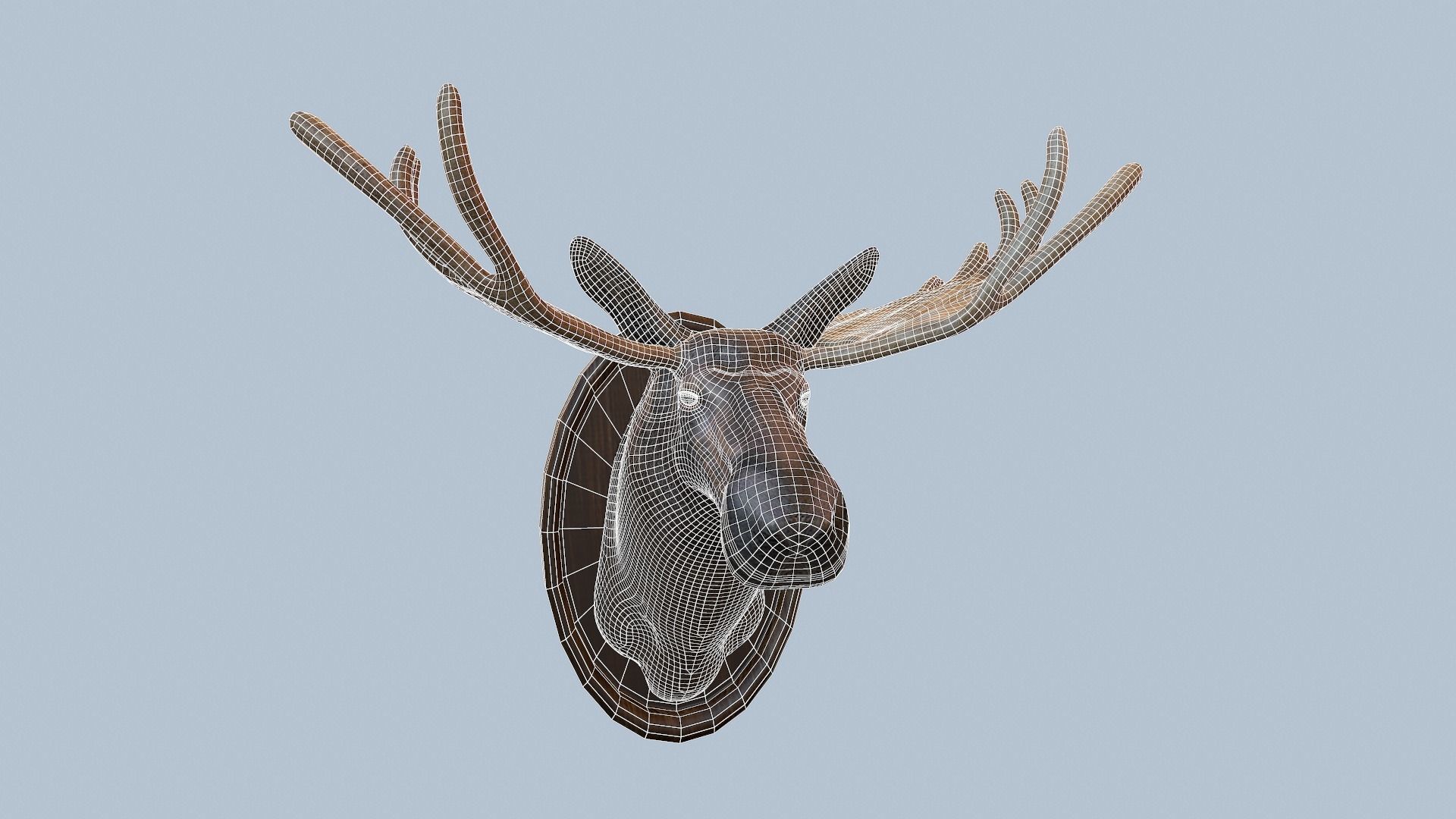 Moose Head Taxidermy Low-poly 3D model_61