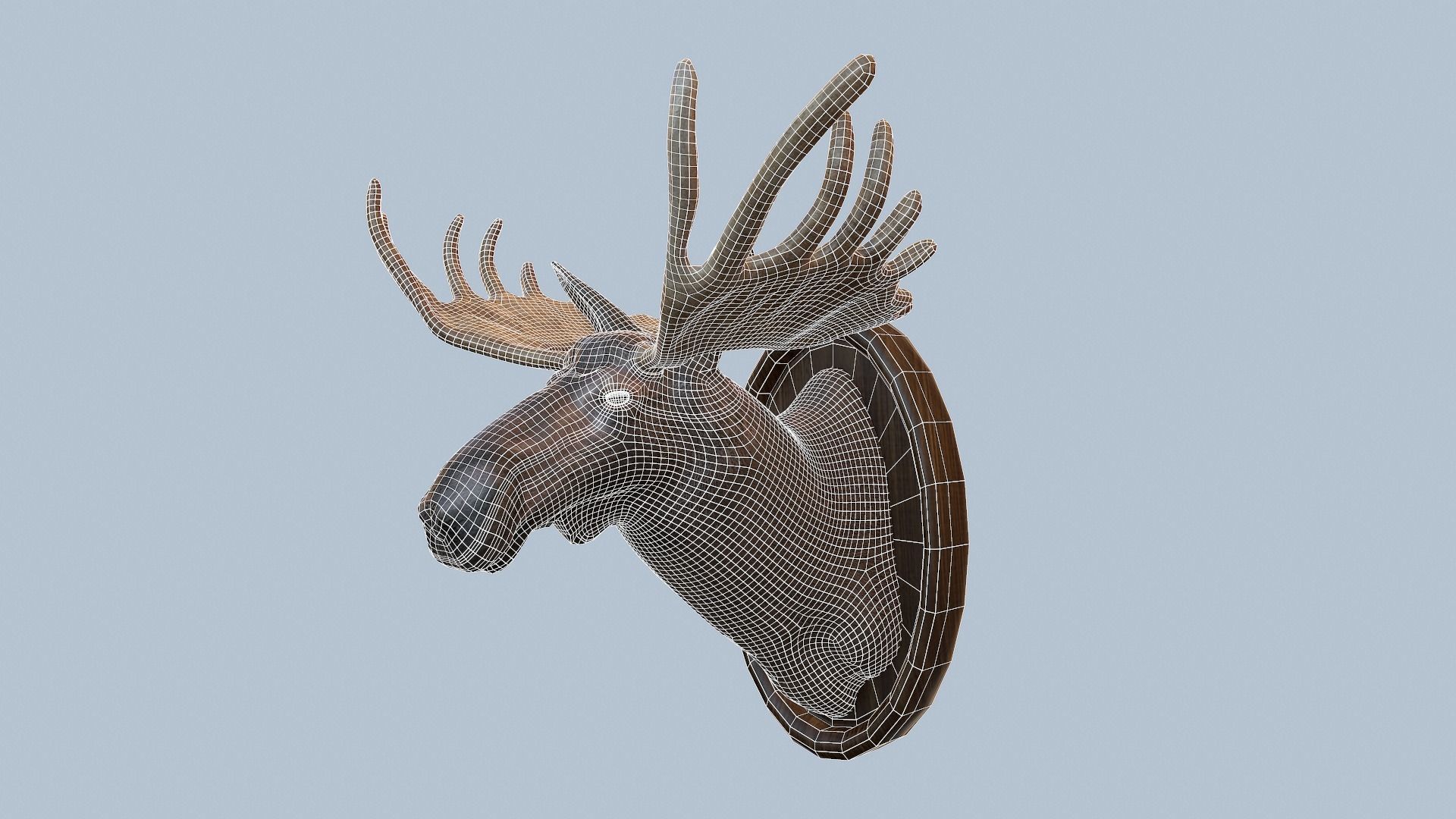 Moose Head Taxidermy Low-poly 3D model_11