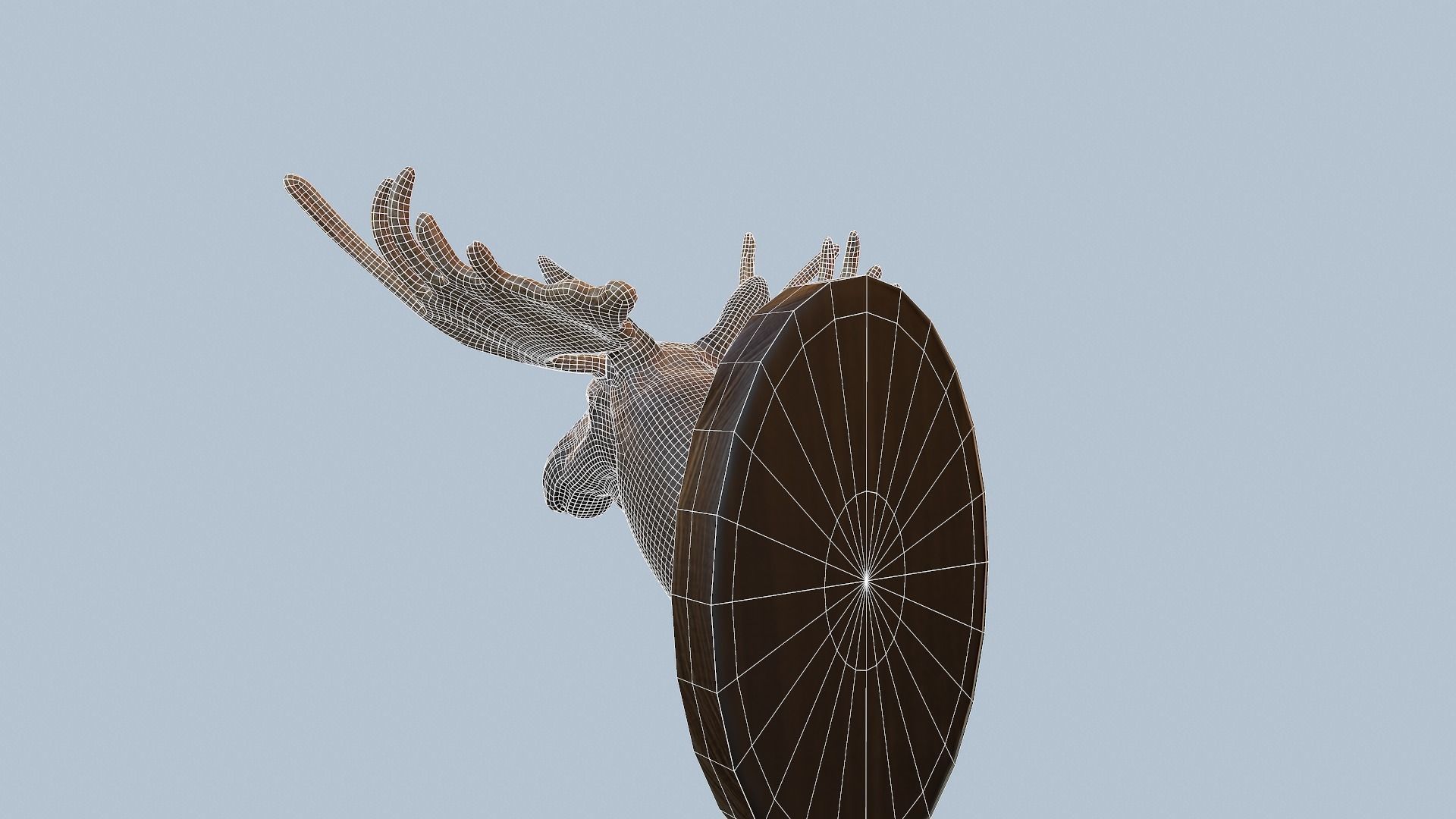 Moose Head Taxidermy Low-poly 3D model_27