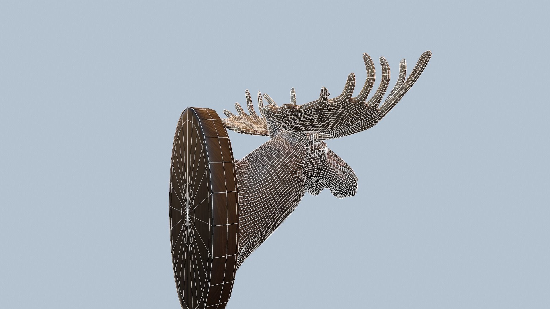 Moose Head Taxidermy Low-poly 3D model_43