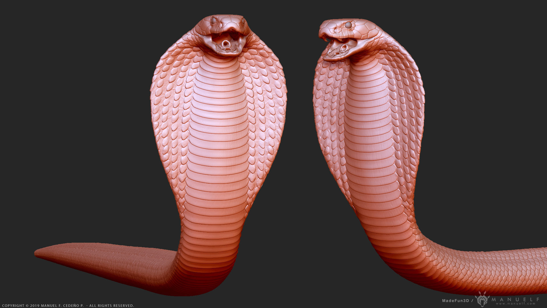King Cobra Snake - Highpoly Sculpture 3D model_1