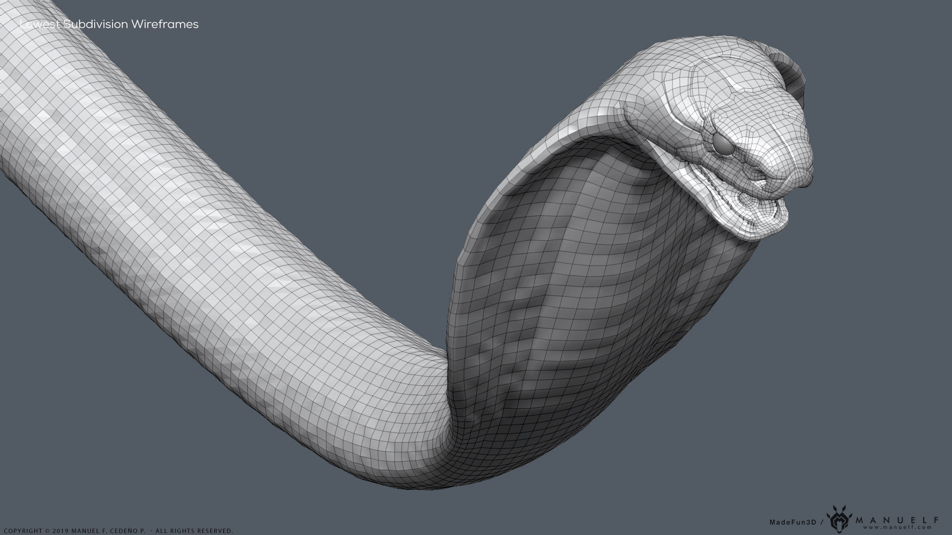 King Cobra Snake - Highpoly Sculpture 3D model_29