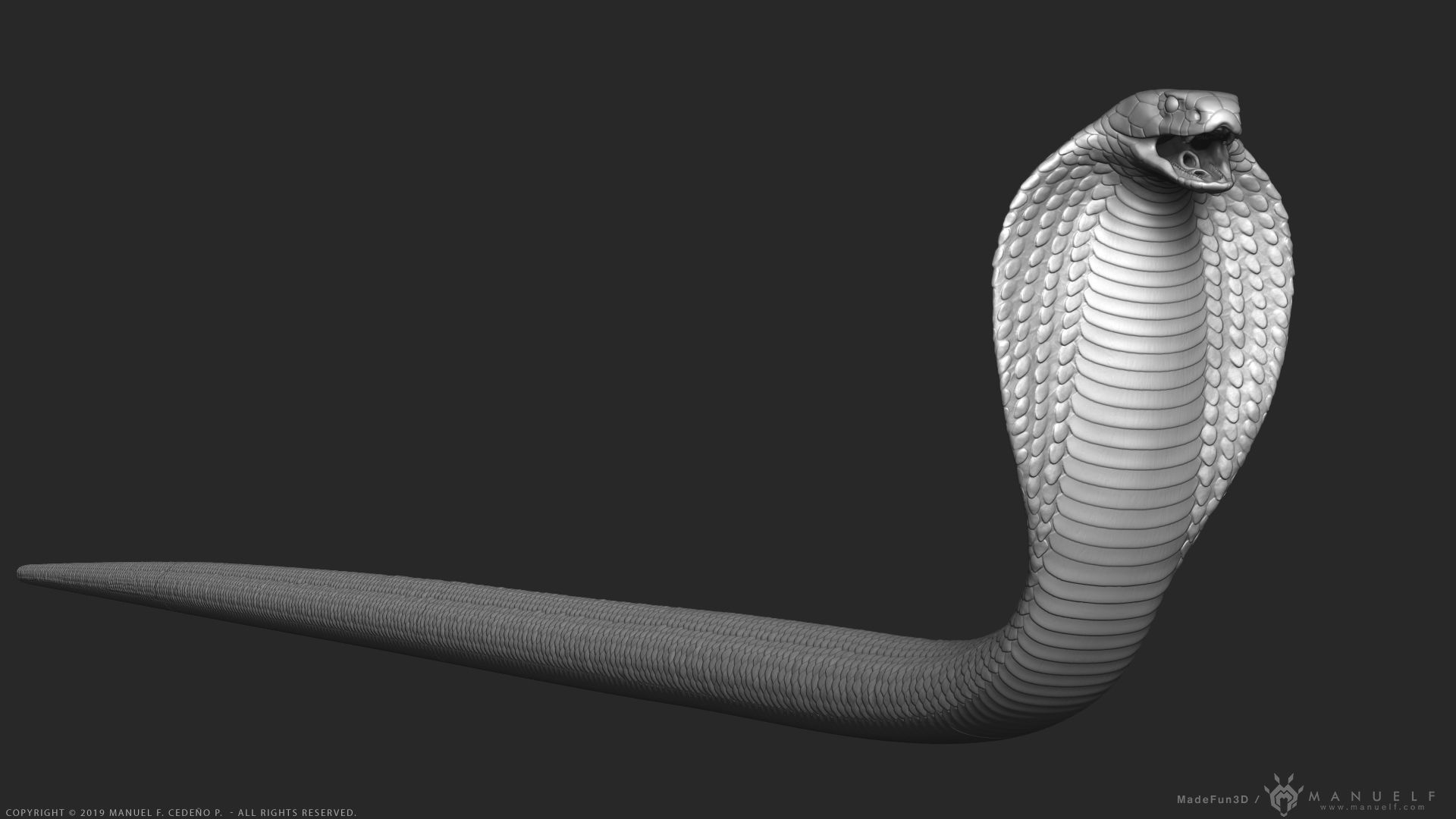 King Cobra Snake - Highpoly Sculpture 3D model_2