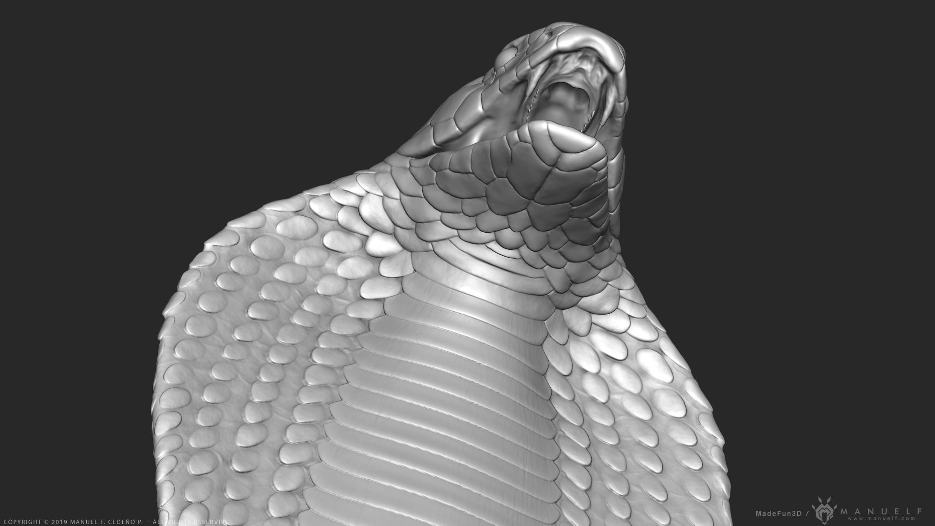 King Cobra Snake - Highpoly Sculpture 3D model_14