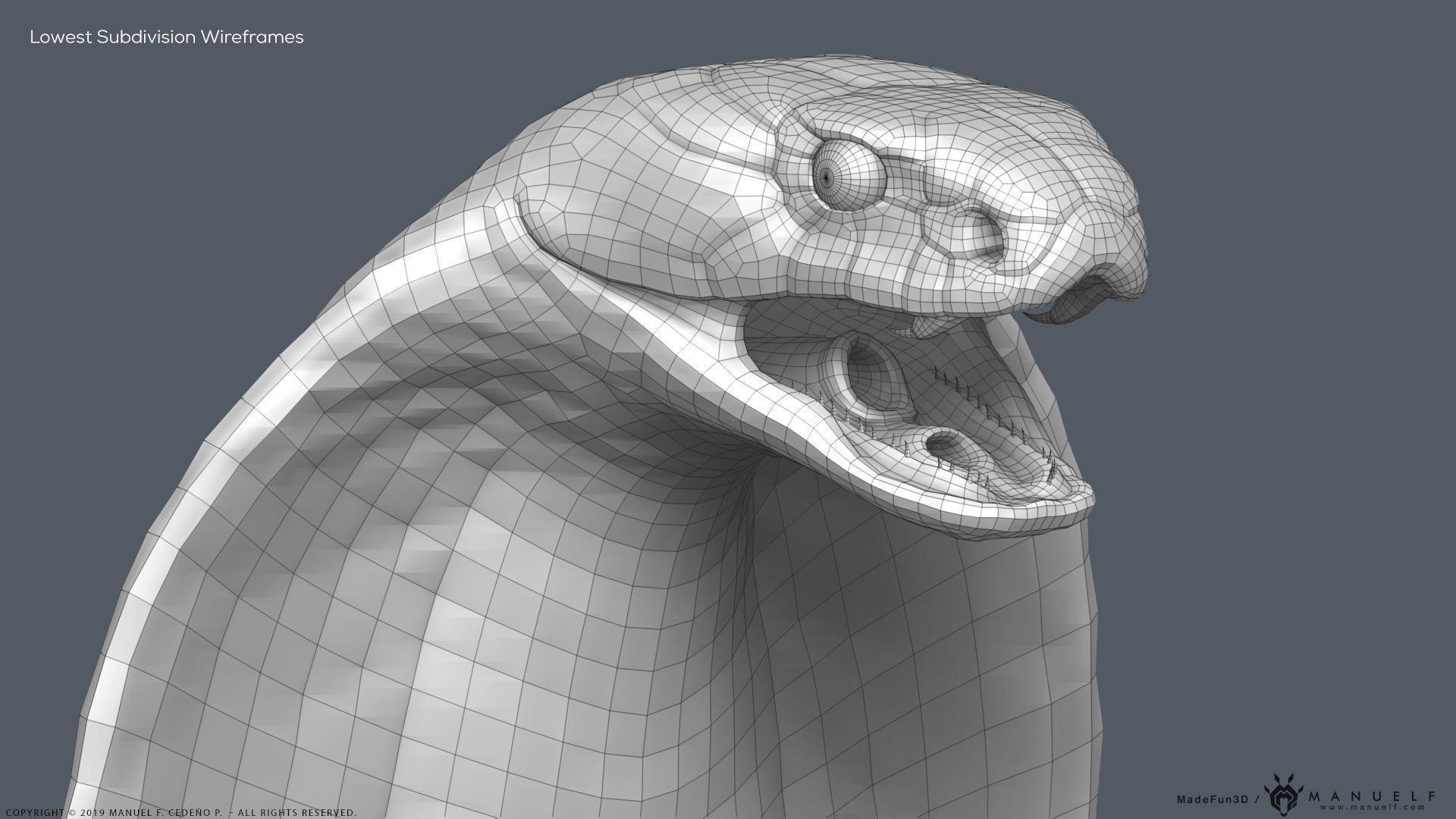 King Cobra Snake - Highpoly Sculpture 3D model_24
