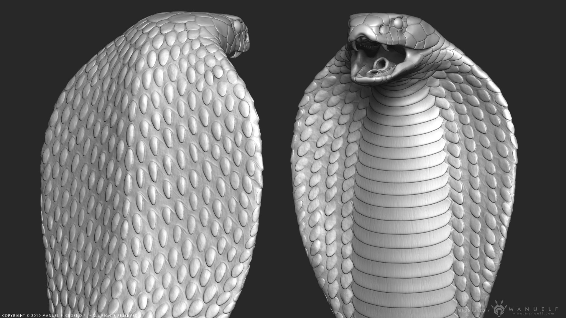 King Cobra Snake - Highpoly Sculpture 3D model_5