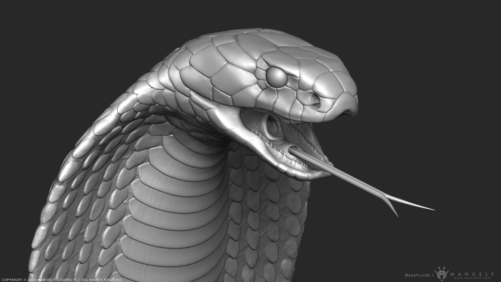 King Cobra Snake - Highpoly Sculpture 3D model_8