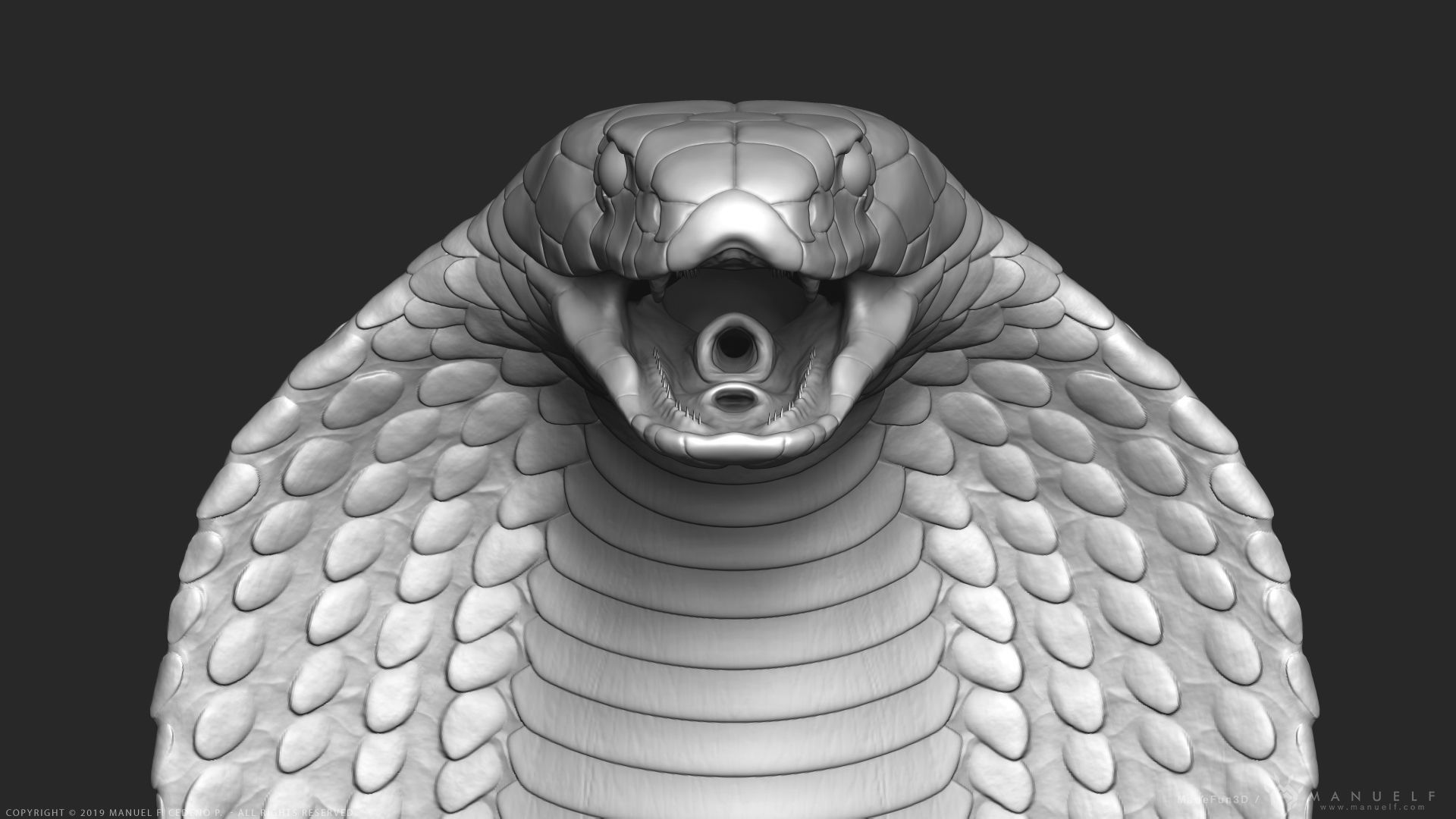 King Cobra Snake - Highpoly Sculpture 3D model_7