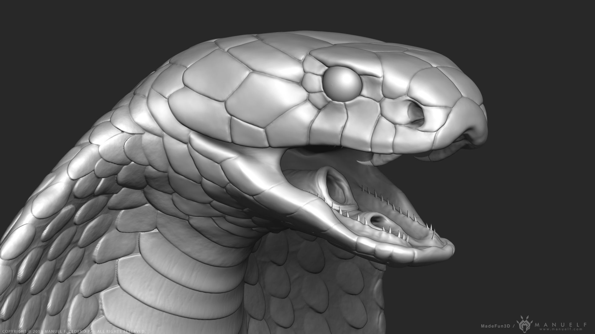 King Cobra Snake - Highpoly Sculpture 3D model_10